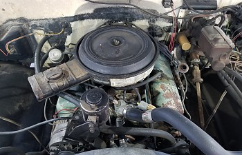 20170720_210259.jpg
