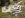 image2.jpeg