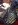 image4a.jpeg