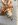 Input shaft.jpg Input shaft.jpg