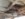 20170807_162123.jpg