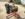 IMG_5329.JPG