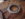 th400 seal 002.JPG