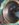 IMG_1742.JPG