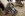 dcp_3829tcase.jpg