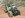 green buggy 015.jpg green buggy 015.jpg