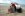 1071188dsc_4611__mid.jpg