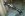 post-11372-1158266009.jpg