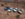 DJI_0008.JPG