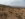 DJI_0015.JPG