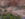DJI_0021.JPG