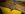 WP_20170904_20_44_56_Pro.jpg