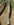 Screenshot_20170911-095447.png