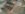 21557689_1881468875201711_4572461869300640063_n.jpg