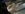 21587325_1882509391764326_8205627079287393006_o.jpg