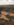 IMG_1321.PNG