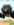 IMG_1484.PNG