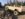 6421AFA9-4CA7-429A-AA46-FE36A4F45FFD.jpeg