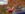 20170909_125942-01.jpeg