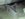 12240074_10153868584210572_1103212672977037033_n.jpg