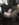 IMG_1500.JPG IMG_1500.JPG
