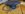 20171003_163446.jpg