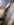 WP_20171003_13_08_44_Pro (2).jpg