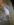 WP_20171003_13_08_48_Pro.jpg
