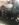 IMG_4516.JPG IMG_4516.JPG
