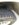 IMG_1336.JPG IMG_1336.JPG