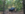 IMG_5795.PNG