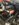 D1B54B2F-04E7-4DCC-B1F2-ADD550B4BFFA.jpeg
