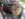 F9A7DEA3-46DA-4FD7-9F89-B043FB8277A5.jpeg