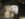 BC2C4803-48B7-4B8A-8AB2-5C0861CD33F5.jpeg