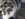 767F2432-ABE4-4BA1-A2FF-6A3A7F370D26.jpeg