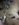 7BEA21D9-0709-4360-8BEE-D98DFAEE2183.jpeg