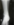 D282307C-01B8-46F8-B48A-1EE0B03E31BE.png