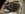 22790295_1919930301355568_277242662_o.jpg