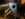 8439C8E7-7614-4E5B-820B-CB402A531AEC.jpeg