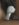 A3E1AFFB-C878-48FC-805A-597CE8CCC3A5.jpeg