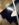 11B03A4B-CE83-427A-A8AA-2E84D3E6F9F3.jpeg