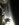 IMG_0745.JPG IMG_0745.JPG