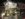 42CD738E-51D1-4056-9C1C-70BC7E24BC5F.jpeg
