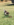 IMG_4634.PNG