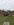 DFE94F7A-59C9-4145-A78A-1970FB7FDDE4.jpeg