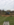 99B74539-8ED1-4685-97AF-68F81D926BC5.png