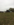 ECF13578-41F4-407F-A338-88BB149ED5D1.png