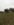 A1D044F5-AF3B-4453-8D5C-F7C0C63040EB.jpeg