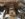 26670E70-ABD2-4CC6-A318-DD3806911548.jpeg