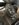E2D53E78-74FC-42C7-83A1-971165BC580D.jpeg